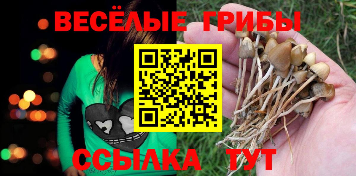 Псилоцибиновые грибы Magic Shrooms  Псилоцибиновые грибы ЛСД  Вход с VPN  Медногорск 