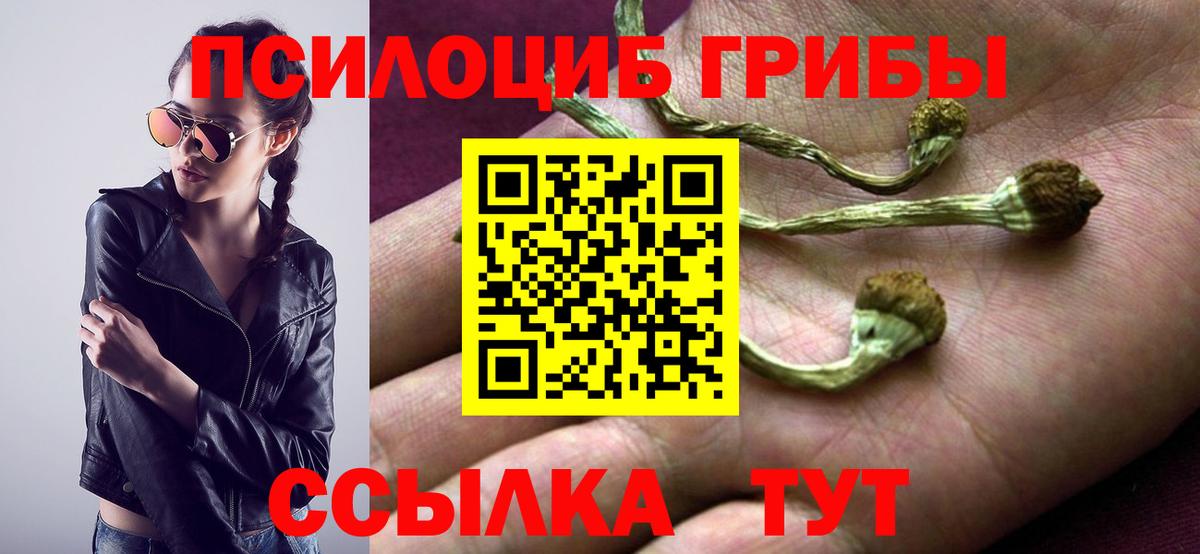 Галлюциногенные грибы Cubensis Медногорск